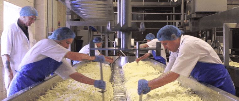 Cheese Making Image