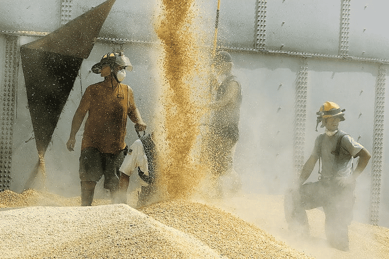 Operador de grano