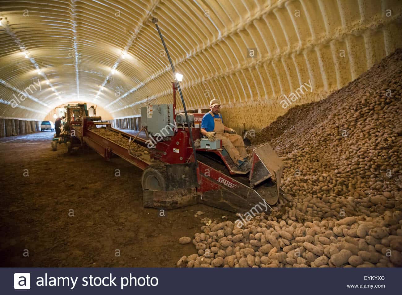 Potato Cellar