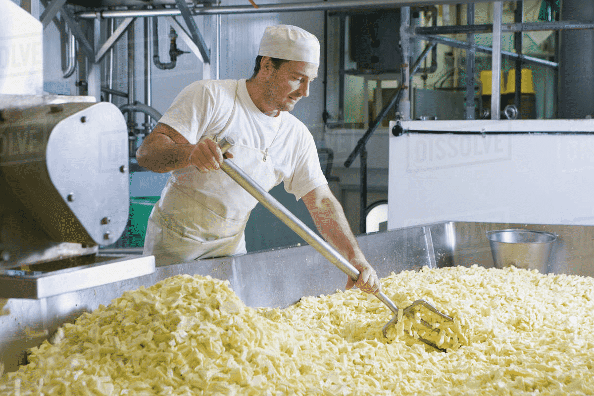 Cheese Maker