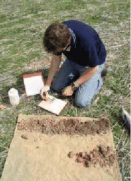 PNC Soil Sampler