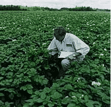 Seed Inspection