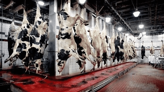 Planta de carne