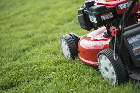 lawn tech