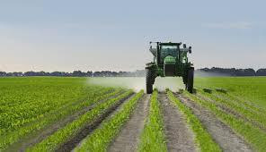 Fertilizing