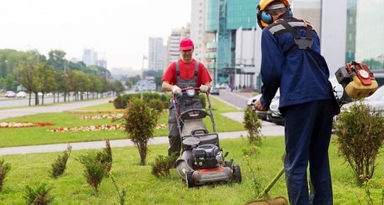 lawn crew