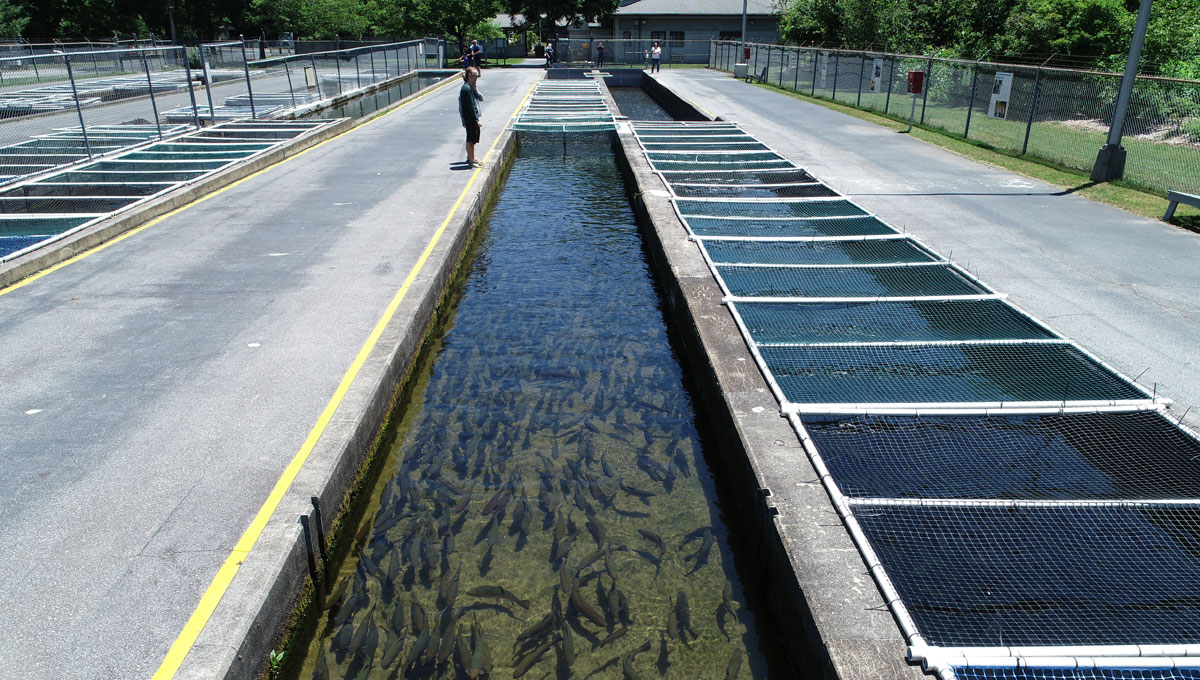 Fish Hatchery Technician Personnel Plus, Inc.