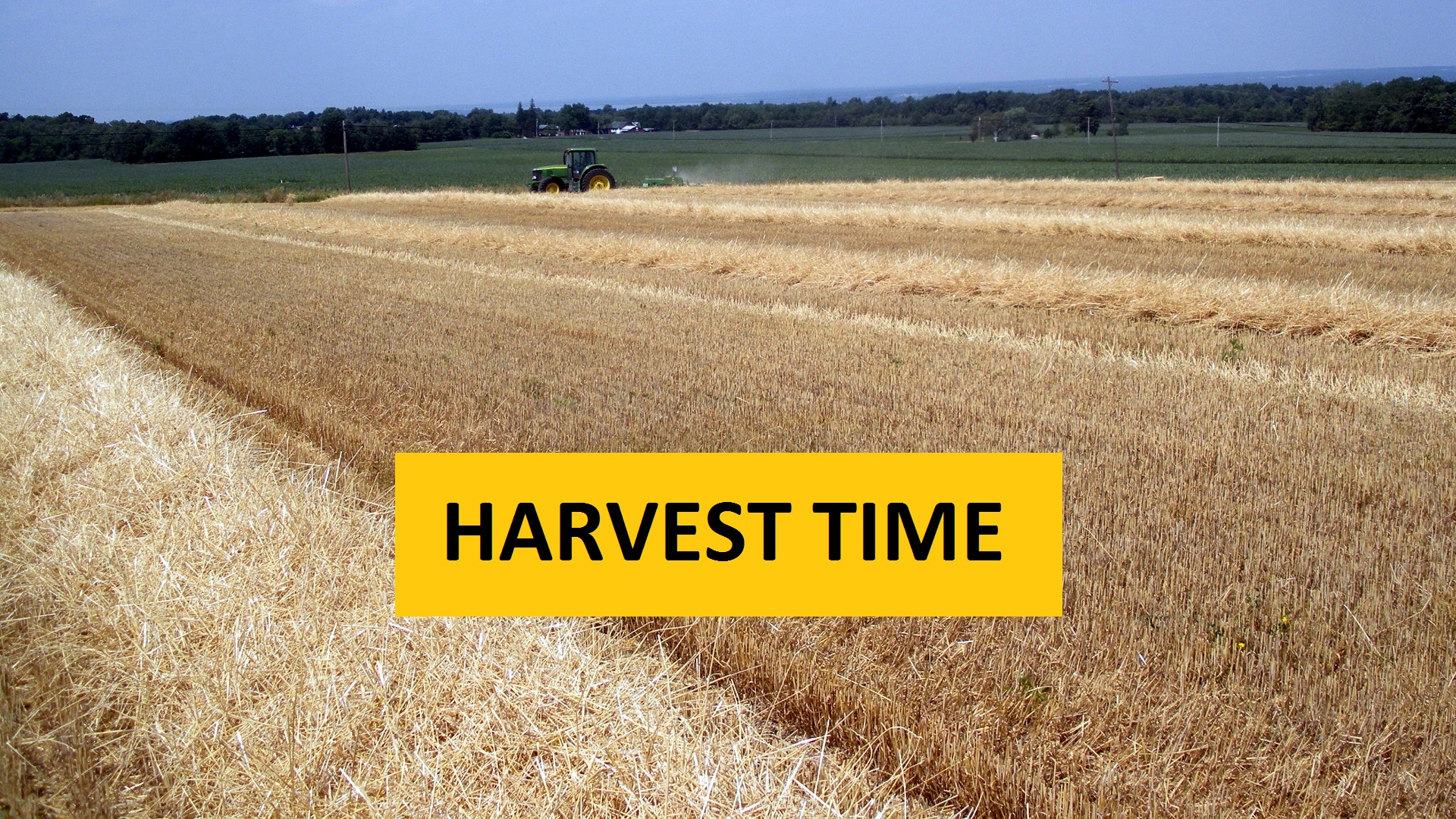 Perfect Harvest Position: How Personnel Plus Can Find Your Perfect Position