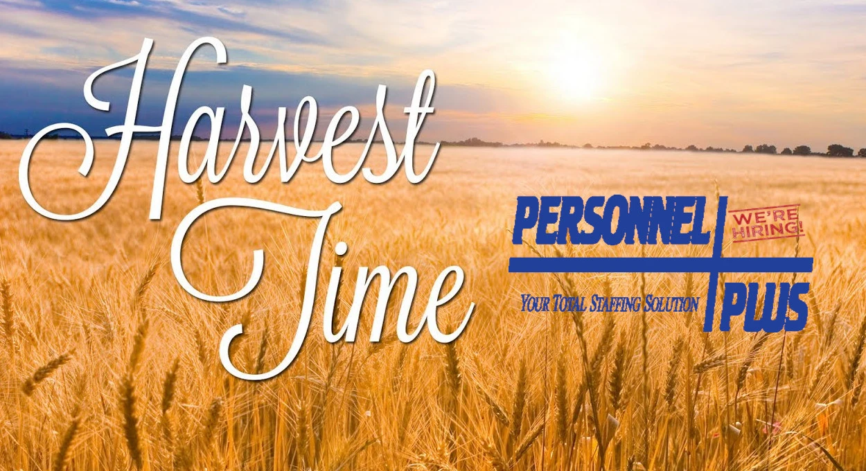 Efficient Staffing Solutions for Harvest Time – Boost Your Productivity!